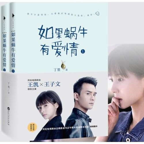 Chinese popular novels sweet love stories for adults Detective love fiction book by Dingmo best seller -If the snail has love