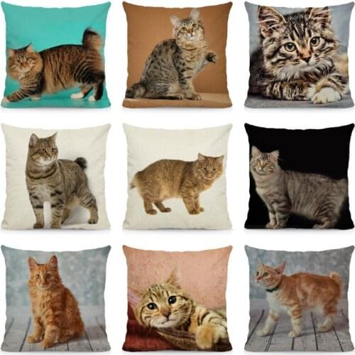 XUNYU Cute American Bobtail Pattern Cushion Cover 45x45cm Animal Print Throw Pillow Case DWM013