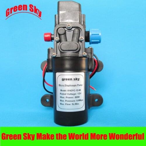 5L/Min 12V DC 60W automatic pressure switch high pressure electric mini diaphragm pump self-priming booster pumnp