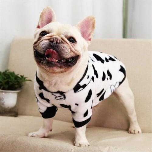 Pet Two Leg Dog Clothes In Autumn and Winter Cartoon Fleece Warm Dog Cat Big Eared Hoodie Coat Pet Clothes Coat Dog Costume