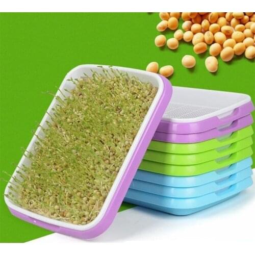1 PCS Germinator tray Sprouts Box Non-toxic Holder Gardening tools New product paper planting vegetable sprouts planting tray