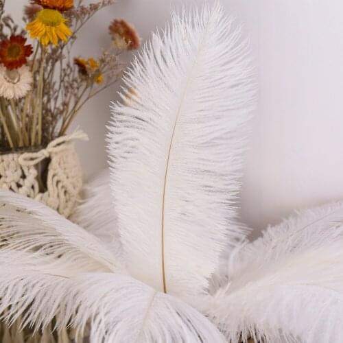10pcs Fluffy Ostrich Feather White Black Elegant Feather for Wedding Party Home Room DIY Decorations Ornament for Clothes Hair