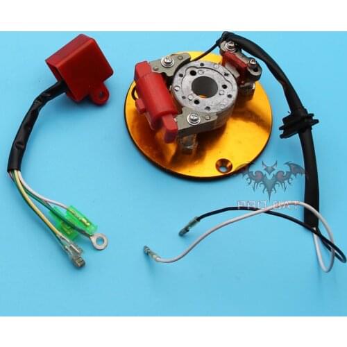 Stator Inner Rotor Kit For CRF XR 70 XR50 Z50 Tatotao Baja Coolster SDG SSR Bike Ignition CDI