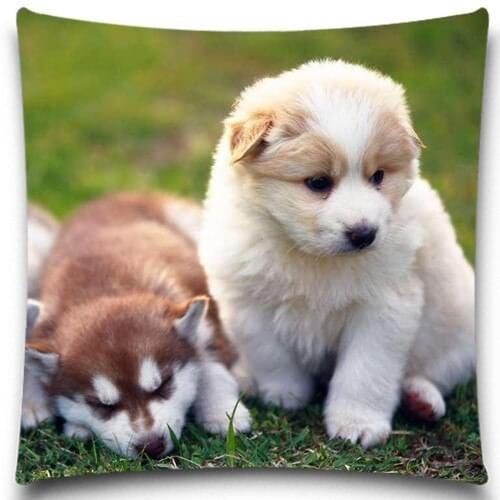 Cute Dog Natural Design Colorful Animal Cushion Cover Cotton Polyester Pillow Case Home Decor 5 Size 9 style to Choose