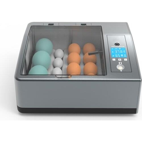 Professional Hatchery Equipment Manufacturers Automatic Mini Egg Incubators Poultry Incubator Machine