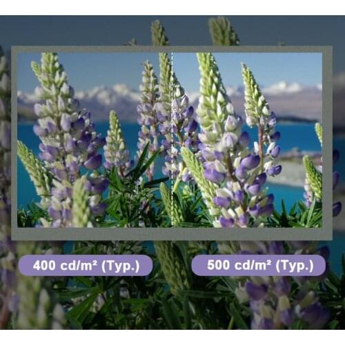 Original BOE GT070WVM-N10 7 Inch Lcd Display 500 Nits Resolution Screen 800×480 Parallel RGB 50 pins FPC