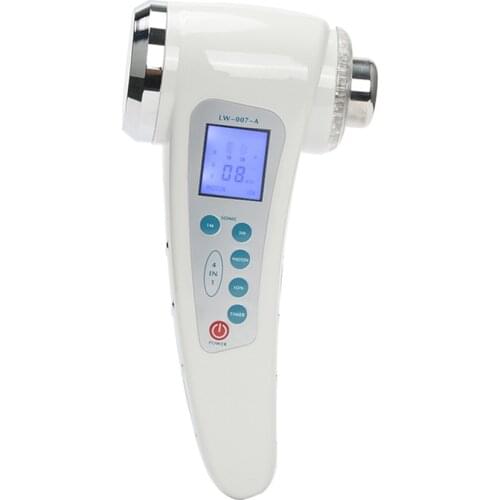 Little Dolphin Lighting