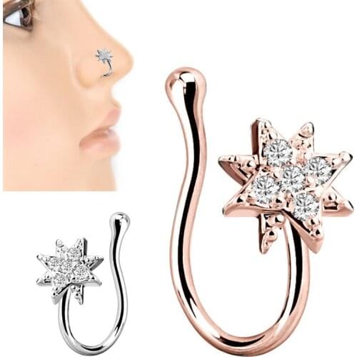 Sexy Earring Nose Piercing Helix Crystal Cat Anodized Seamless Endless Tragus Cartilage Hoop Ring