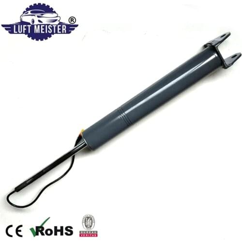 99733305325 1pc Rear Shock Absorber With PASM for 2005-2012 Porsche 911 Carrera (997 & 997.2)