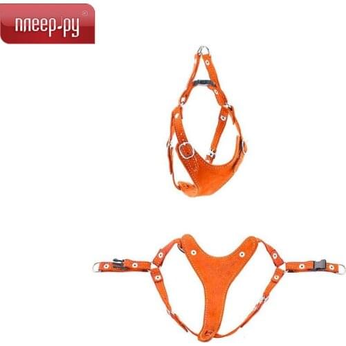 Товары для собак ДАРЭЛЛ China At AliExpress