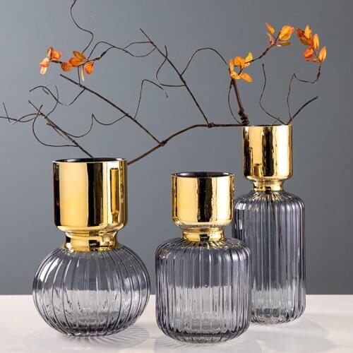 Light Luxury Gold-plated Glass Vase Transparent Color Flower Arrangement Vase Crafts Living Room Home Decoration Accessories
