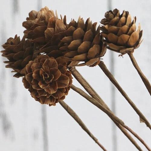60 Pcs/lot Natural Pinecones for Christmas Ornaments Shooting Props Dried Flowers Free Shipping