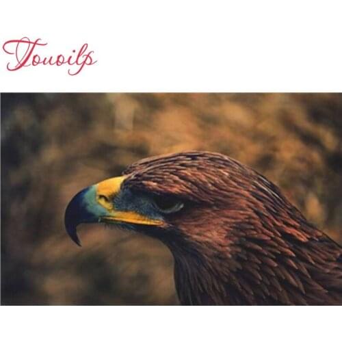 Diamond Embroidery Painting Het Zwartbruin home decor Mosaic Crystal Embroidery Cross Square&round Diamond Drill Painting