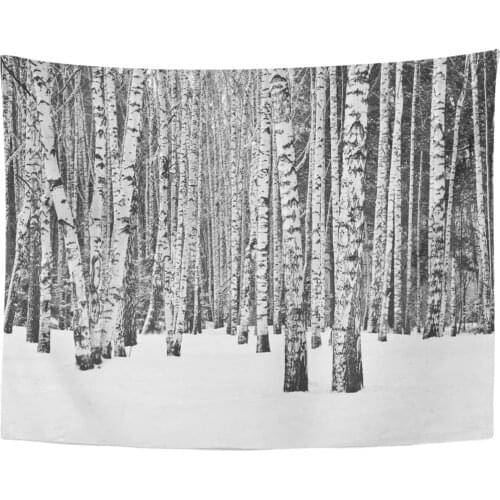 Nature Birch Forest in Winter Black and White Rustic Bright Tapestry Home Decor Wall Hanging for Living Room Bedroom Dorm 60x80