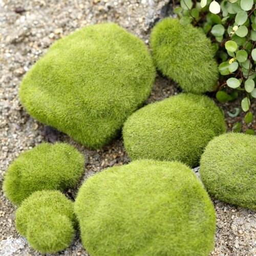 6pcs Artificial flower fake moss grass moss ball simulation moss stone succulent pot bonsai home DIY micro landscape decoration