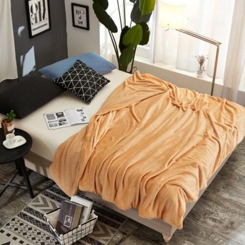 Winter Wool Blanket Ferret Cashmere Blanket Warm Blankets Fleece Super Warm Soft Throw On Sofa Bed Dropshipping