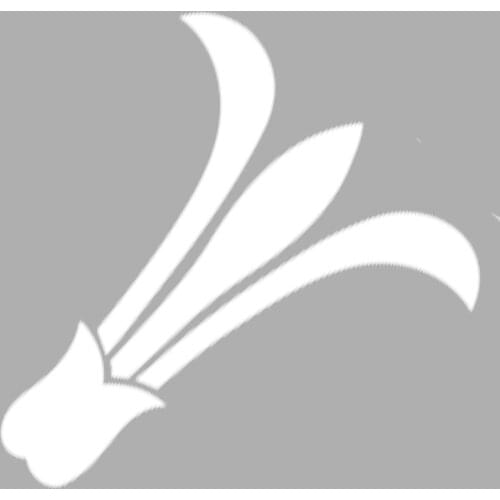 Simple Lily Motifi-2 Stencil Painting template 30x30 cm, Walls, Tiles, furniture For Easy and Practical Pattern Application