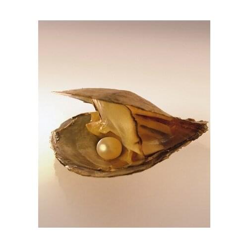 100pcs Vacuum-pack Oyster Wish Pearls, Pearl Mussel Shell with Pearl Inside, 6-7 mm Oval Rice Drop Shape Three Colors Pearls