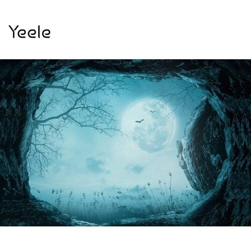 Yeele Halloween Photocall Backdrops Stone Cave Moon Night Branch Baby Portrait Background Photographic Photography Photo Studio