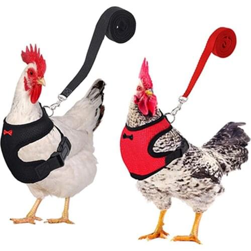 GoldCistern Products For Farm Animals