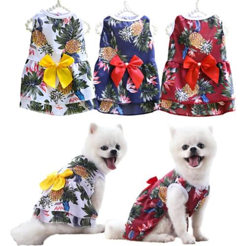 Innesoignelife Clothes And Footwear For Dogs