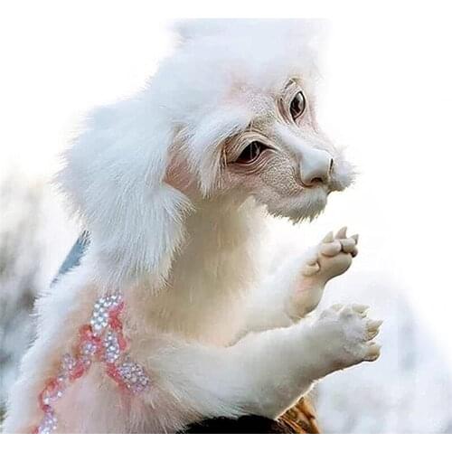 Multi-purpose Plush Doll Cute Movie Doll Fairy Lucky Dragon Plush Flying Dog Puppy Animal Toy Gift Home Decoration