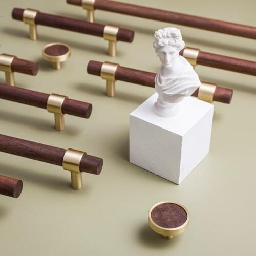 Light luxury Nordic simple Brass Handle Black Walnut cabinet drawer wardrobe door new Chinese double hole long handle