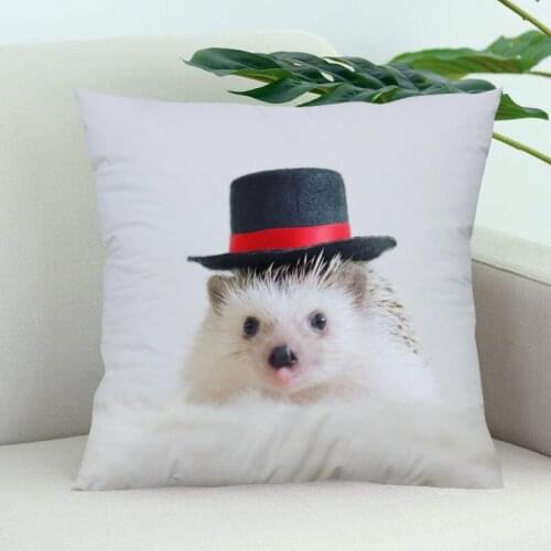 Hedgehogs Pillow Cover Bedroom Home Office Decorative Pillowcase Square Zipper Pillow Cases Satin Soft