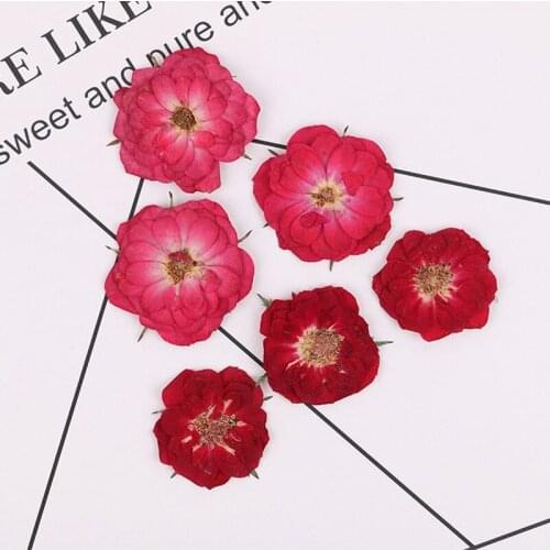 120 PCS Natural Dried Rose Flowers Plant Specimen DIY Epoxy Jewelry Making Accessory Phone Case Decoration