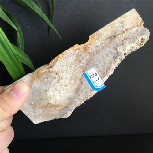 Natural Crystal Raw Quartz Coral Jade Healing Reiki Stone Specimen Home Decor Minerales