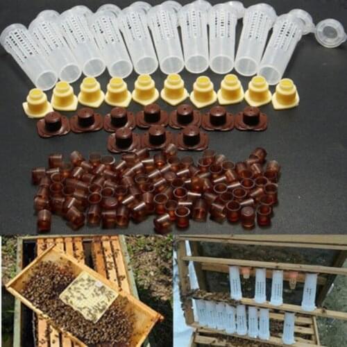 1 Set Bees Tools Cages King Queen Rearing Cupkit System Bee Beekeeping Catcher Box Cell Cups Cage Nicot Complete Kit Apicultura