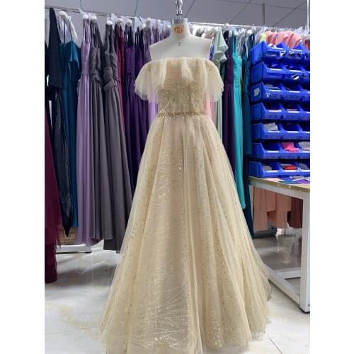 Light Champagne Evening Dress 2020 New different color luckgirls pleated Sequins sleeveless Customizable fashion Moncini Tailor