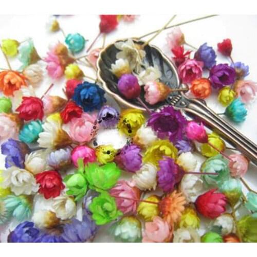 100pcs Mixed Colors Mini Dried Daisy Flower Head For Epoxy Resin Pendant Necklace Jewelry Making Craft DIY Accessories