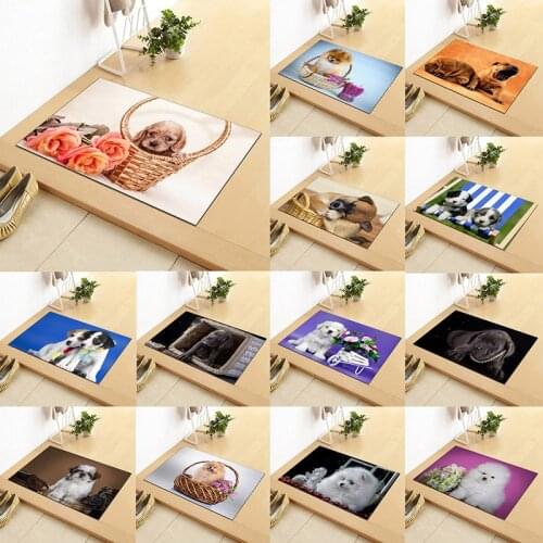 40*60cm Cute Pug Husky Dog Pattern DoorMats Anti-Slip Suede Carpet Door Mat Rectangle Outdoor Kitchen Living Room Floor Mat Rug