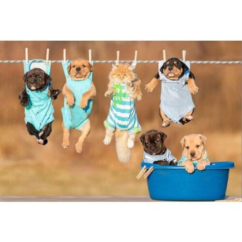 Five dogs and one cat The wooden puzzle 1000 pieces ersion jigsaw puzzle white card adult childrens educational toys