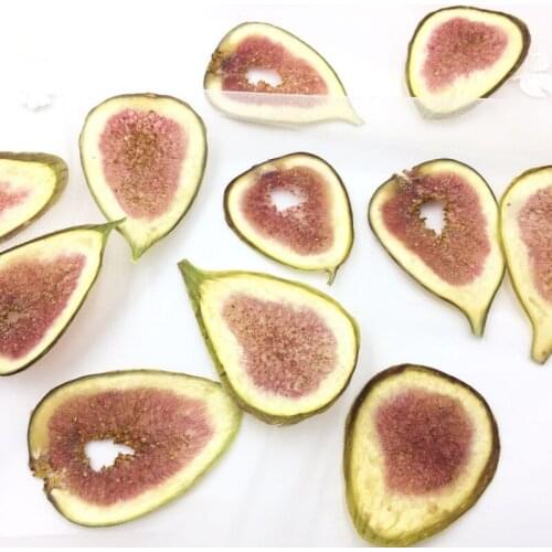 5pcs Dried Pressed Teardrop Ficus Carica Linn. Slices Plant Herbarium For Jewelry Photo Frame Phone Case Bookmark Postcard DIY