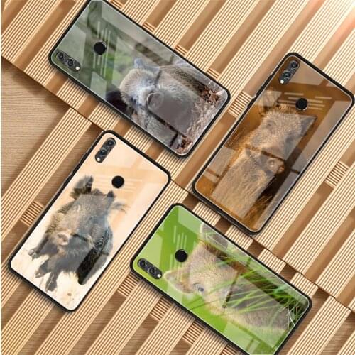 Wild boar Tempered Glass Phone Case For Huawei P20 P30 P40 P40 Lite Pro Psmart Mate 20 30 Cover Shell