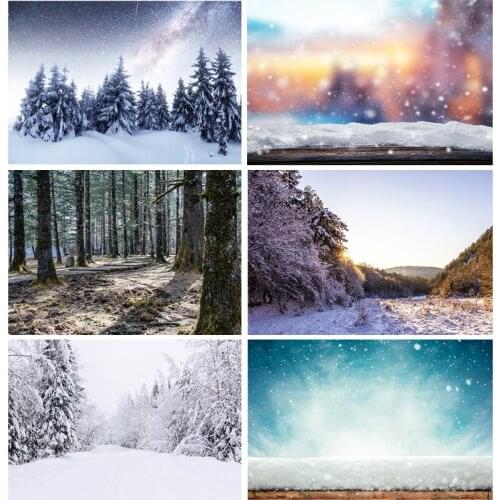Vinyl Custom Photography Backdrops Prop Snow scene Photography Background 2021112XJ-06