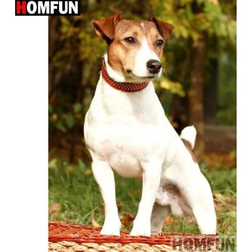 HOMFUN Full Square/Round Drill 5D DIY Diamond Painting "animal dog" Embroidery Cross Stitch 5D Home Decor Gift A14013