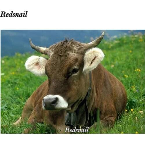 Full square round 5D DIY diamond painting animal cow 3D Diamond embroidery pattern cross stitch kit mosaic rhinestones EE685