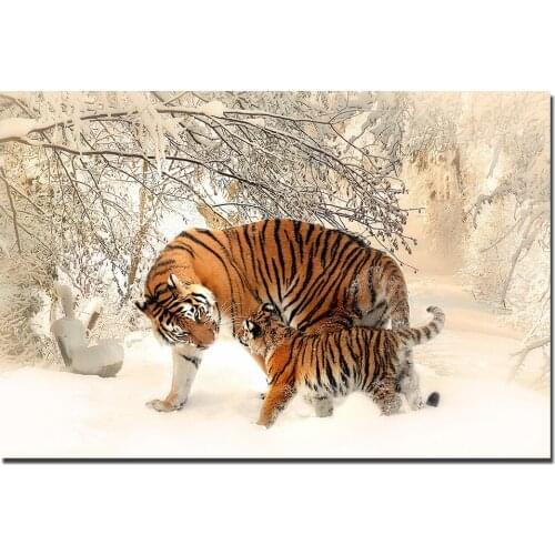 Tiger Picture Wall Art Poster Canvas Prints Paintings for Living Room Decor