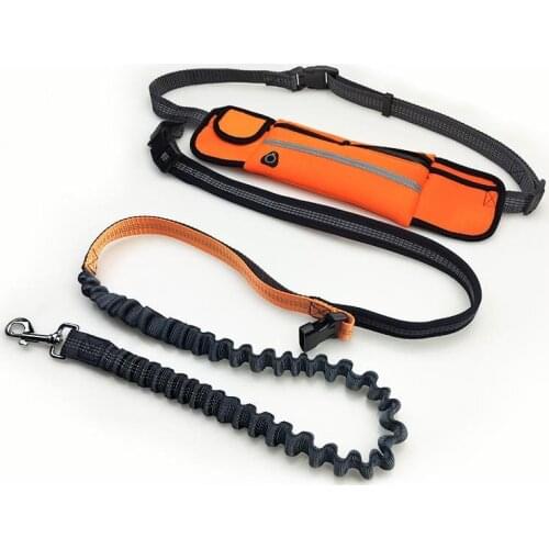 Dogs Leash Running Elasticity Hand Freely Waterproof Waist Bag Running Multifunctional Traction Belt Dog Leash Pet Supplies