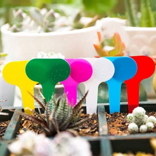 100pcs PVC Plant Markers Waterproof T-type Seed Labels Nursery Tags Garden Plant Markers Tray Mark Tools Garden Labels