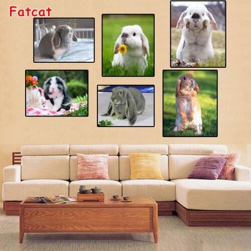 Diamond Embroidery Rabbit DIY Full Square Diamond Painting Cross Stitch Kits English Lop 5D Diamond Mosaic sticker Decor PP1050