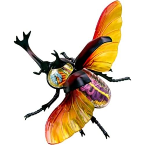 4d Rhinoceros beetle Animal Anatomy Model Skeleton Medical Teaching Laboratory Education Equipment master puzzle Assembling Toy
