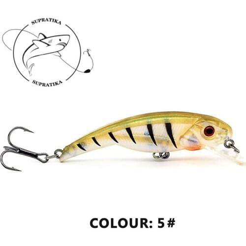Lifelike 3D Eyes Anti-Corrosion Freshwater Fishing Lure Hard Bait Bionic Minnow Floating Wobbler 10cm/6.3g Plastic Fishing Bait
