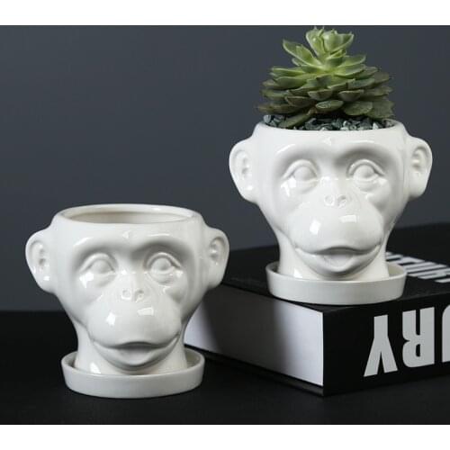 Hericium Shape Ceramic Flowerpot Home Living Room Desktop Green Plants Succulents Art Flower Arrangement Vase Desktop Decoration