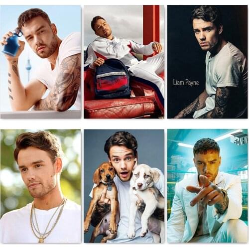 Liam Payne Portrait Paintings Poster Handsome British Singer Modern Home Room Decor White Coated Wall Art Prints and Posters