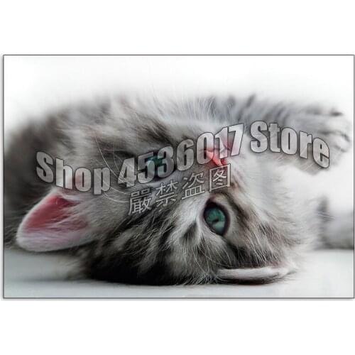 DIY Diamond Mosaic Kitten Cats Baby Animals Art Handmade Diamond Painting Cross Stitch Diamond Embroidery Patterns Rhinestones
