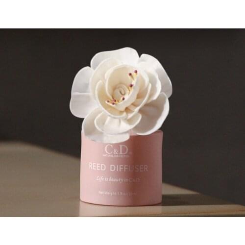 Home Fragrance Oil Dried Flower Rattan Reed Diffuser Set Bedroom Air Freshener Perfume Aroma Essential Household Decoration